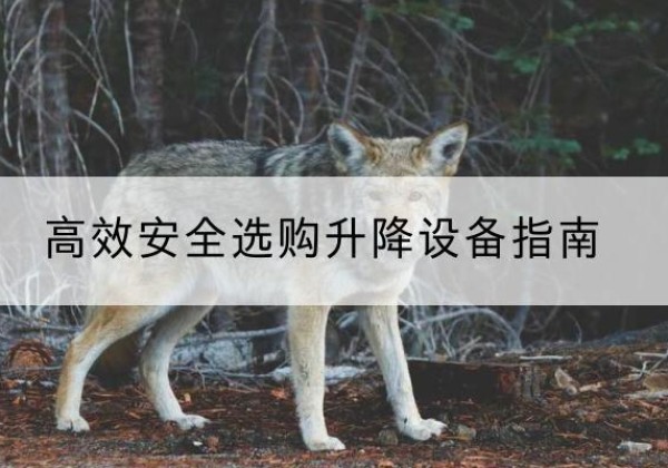 定兴升降货梯厂家推荐-*安全选购升降设备指南
