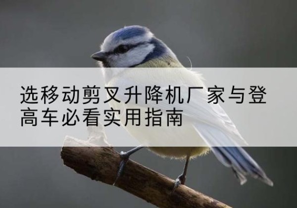定兴电动升降机厂家-选移动剪叉升降机厂家与登高车必看实用指南